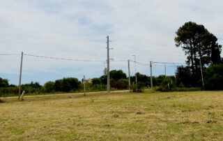 16 DSCN2444 – 1 NE